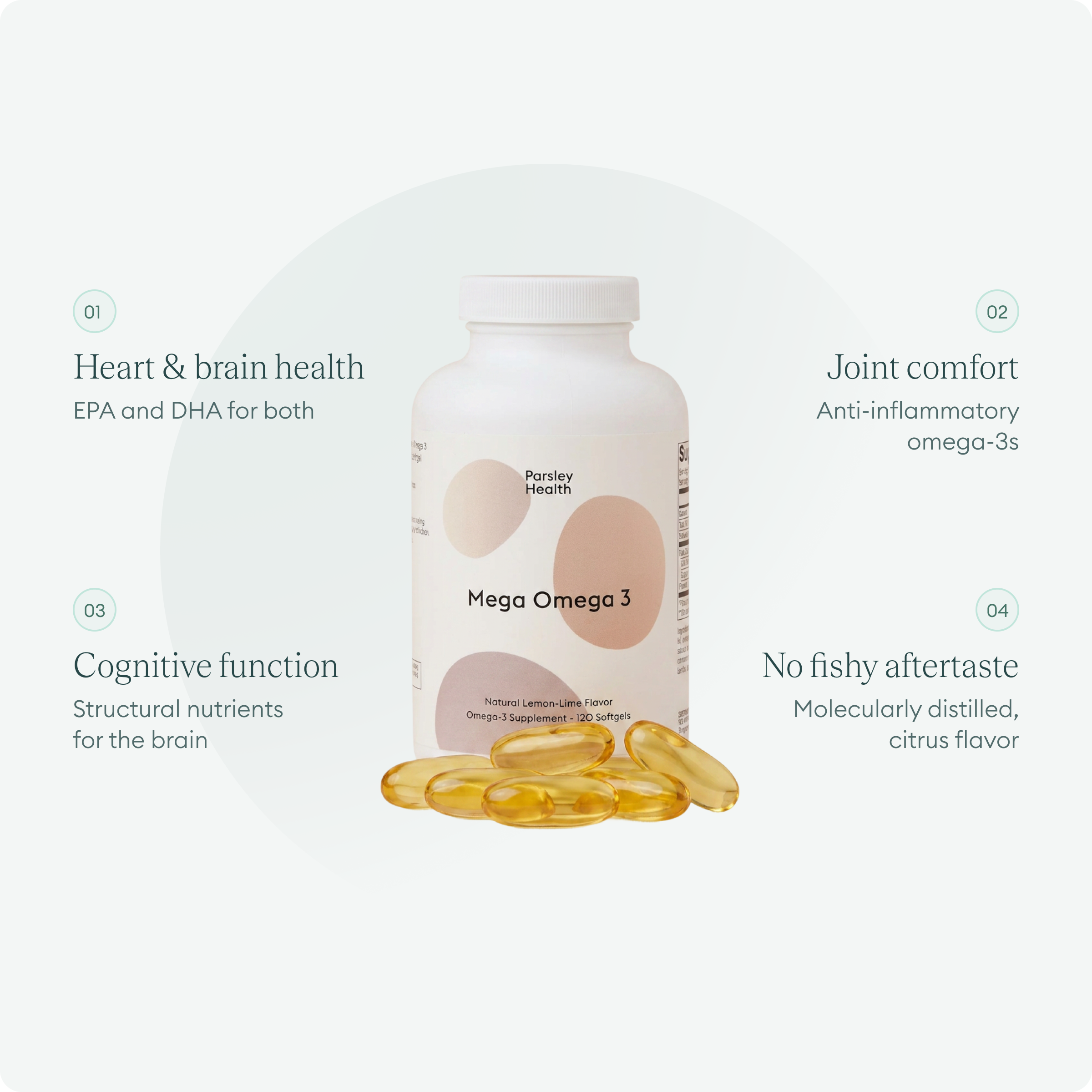 Mega Omega 3 Fish Oil Supplement